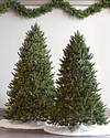 Vermont White Spruce Tree by Balsam Hill Lifestyle 70