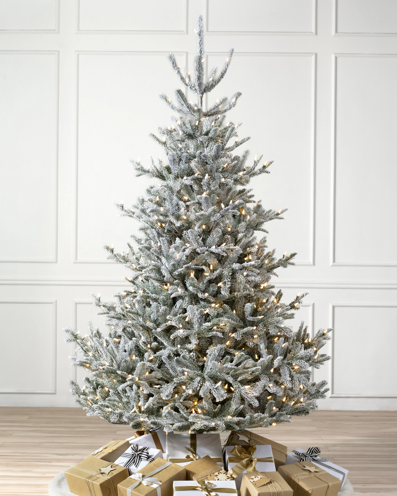 Sapin de Nordmann enneigé
