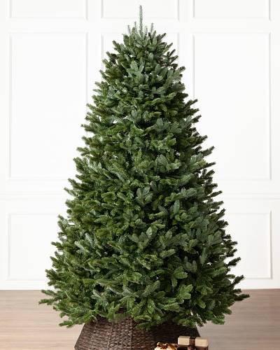 Bh Fraser Fir Artificial Christmas Trees Balsam Hill Fraser Fir Christmas Trees