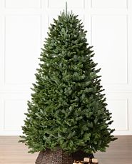 Artificial fraser fir Christmas tree