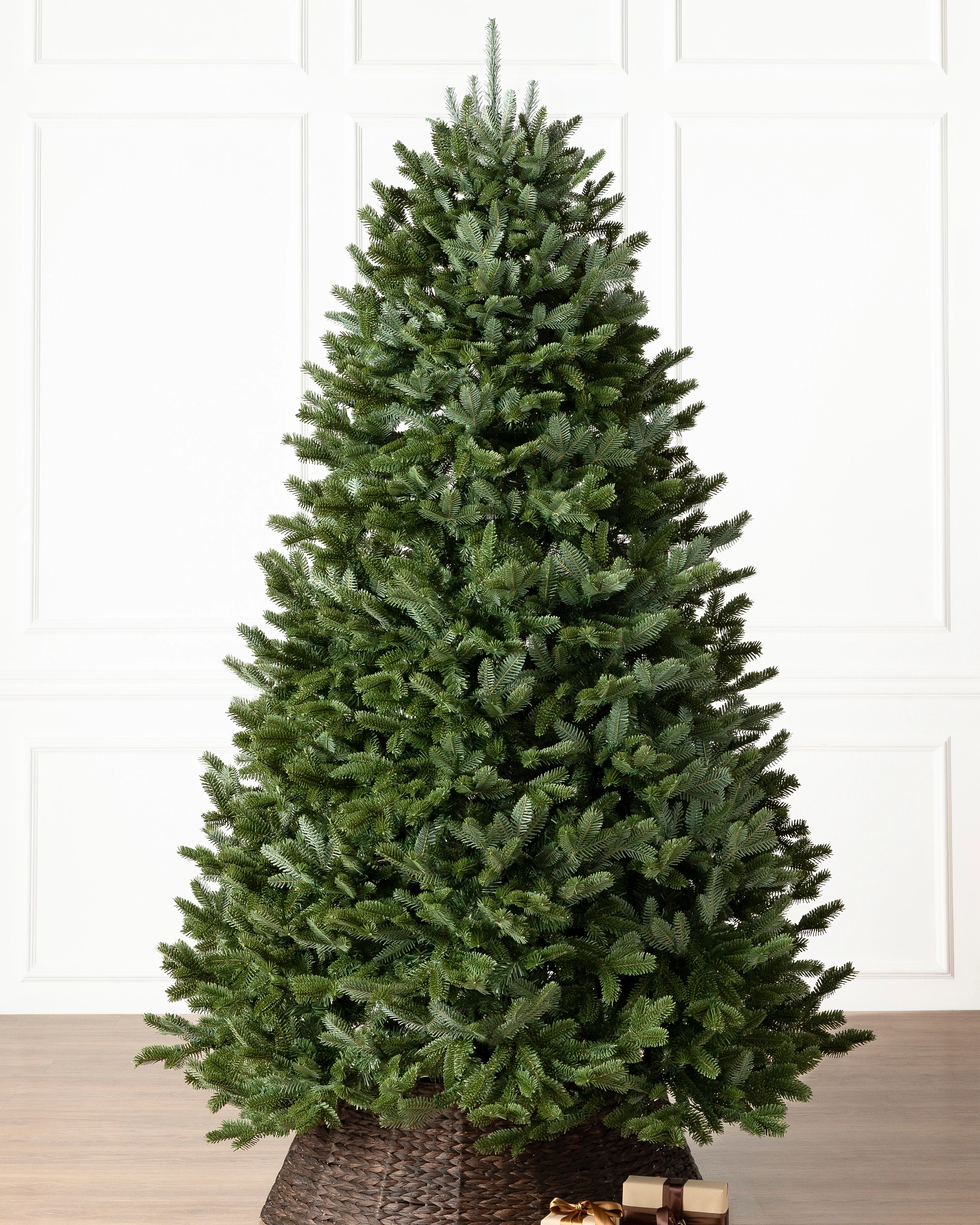 BH Fraser Fir Tree