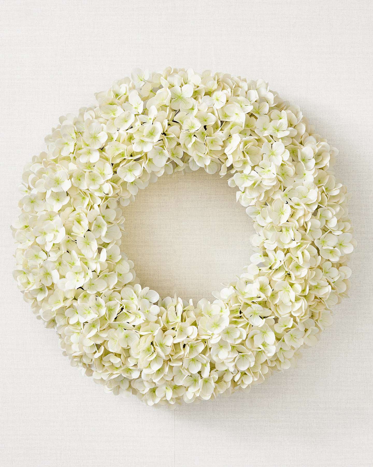 Balsam Hill Ivory Outdoor Hydrangea Harmony Artificial Spring Wreath Special Feature with Canvas Background