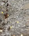 3ft Lit Icy Crystal Branch Tree by Balsam Hill Closeup 10