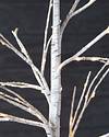 Indoor Outdoor LED Winter Birch Tree by Balsam Hill Closeup 10