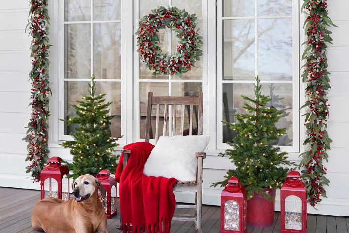 Dog sitting next to a chair on the patio decorated with artificial Christmas foliage, lanterns, and potted trees