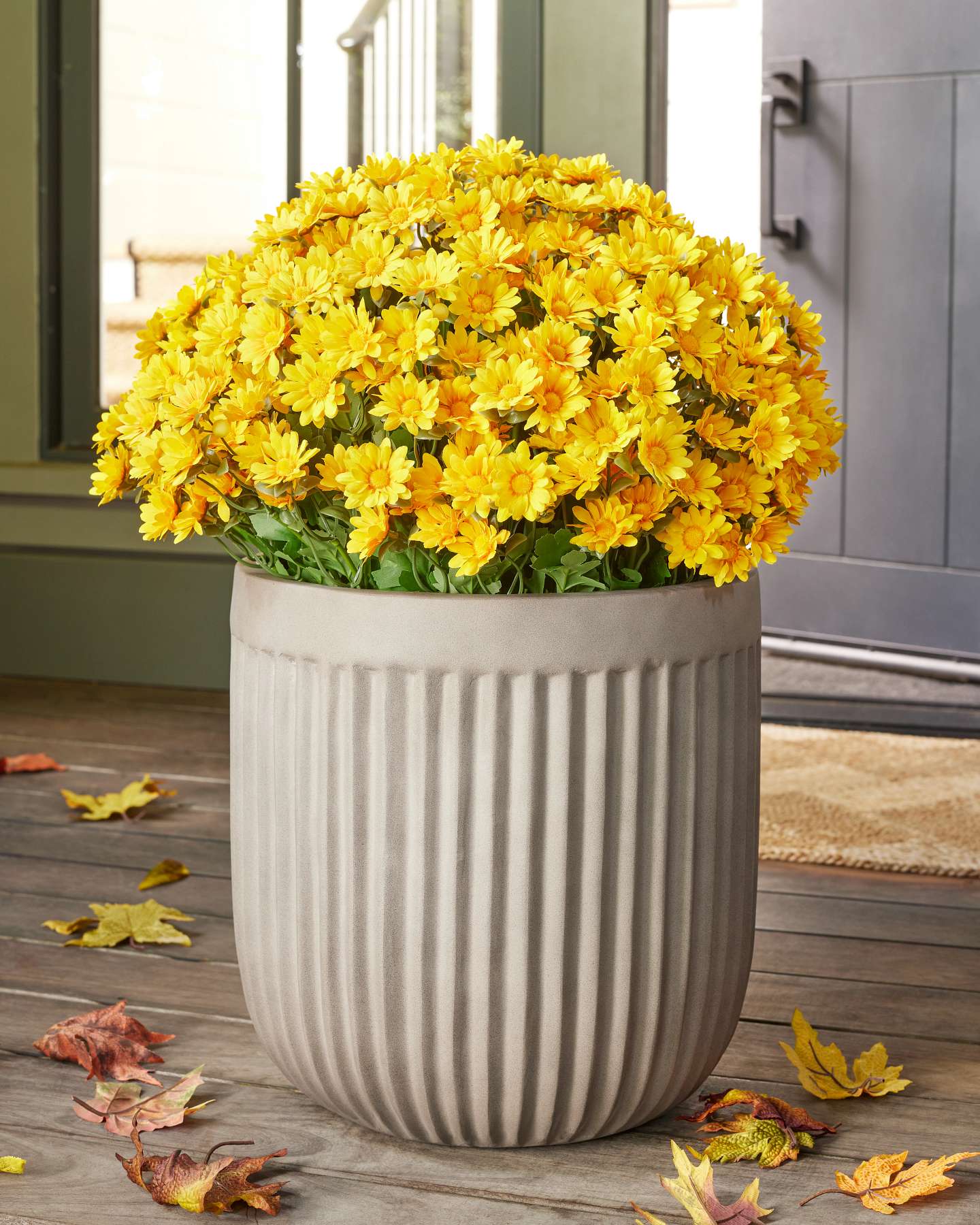 Balsam Hill 28-Inch Gold Outdoor Sunset Mums Pot Filler Alternate Angle