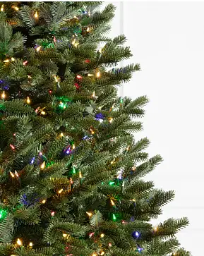 BH Fraser Fir Flip Tree® BH Fraser Fir Flip Tree®