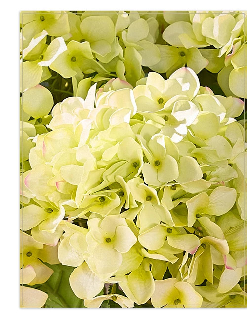 FLR-2411007_Green-Outdoor-