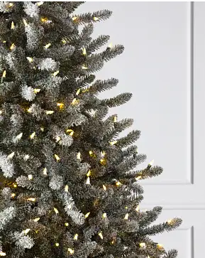 Frosted Classic Blue Spruce Frosted Classic Blue Spruce