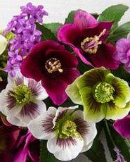 Closeup of artificial lilac and hellebore flowers