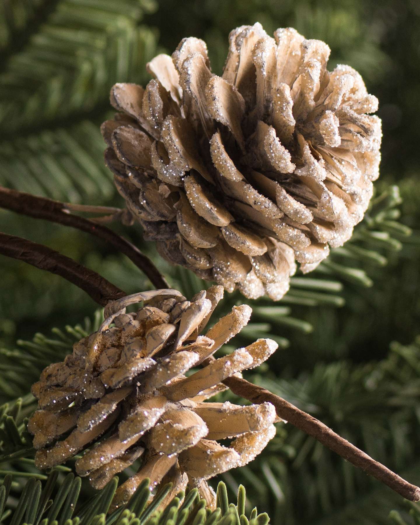 Balsam Hill Winter Pinecone Christmas Tree Picks Set of 12 Closeup of Snowy Detail