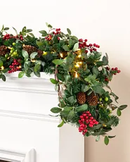 Front door with Christmas greenery