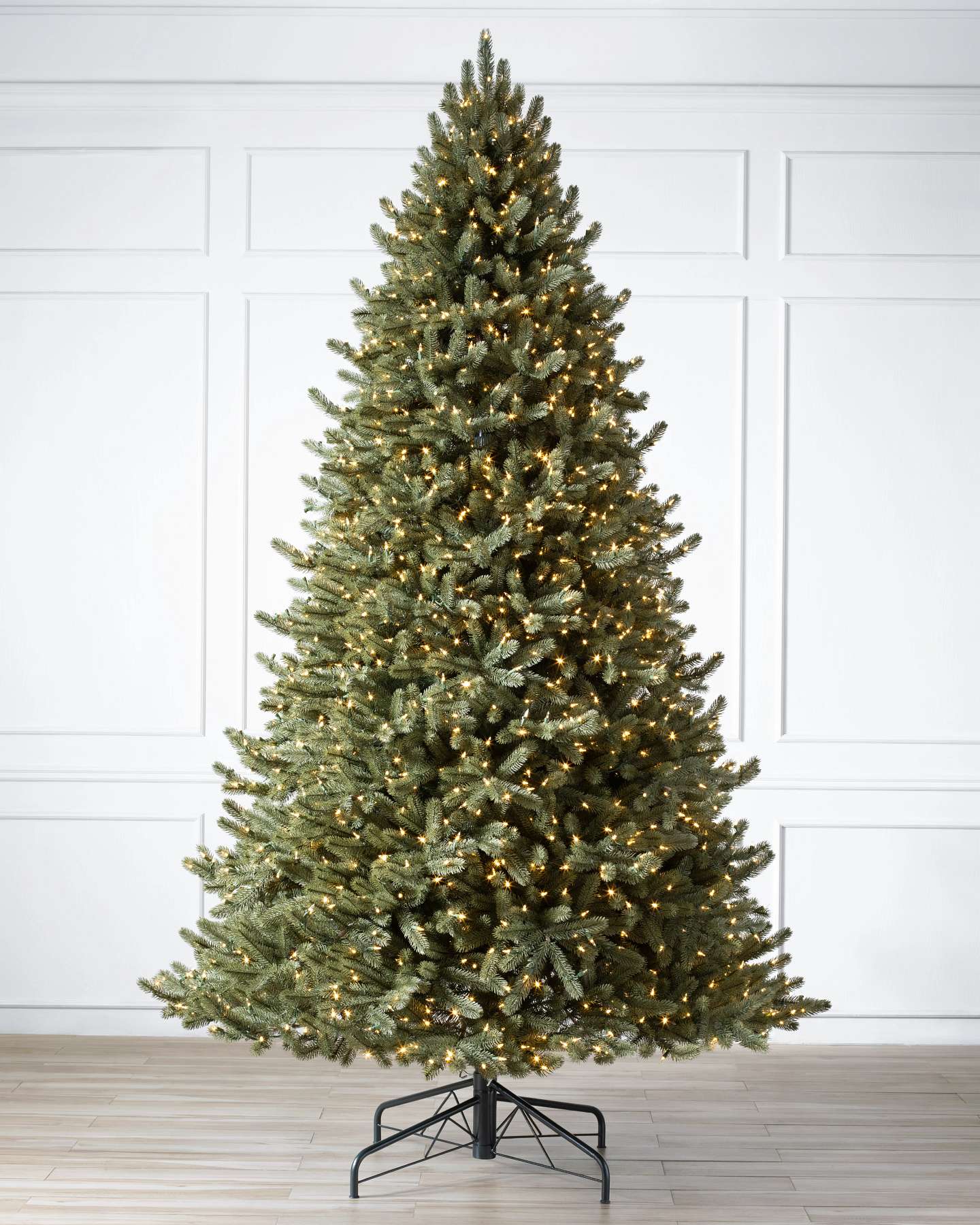 Vermont White Spruce