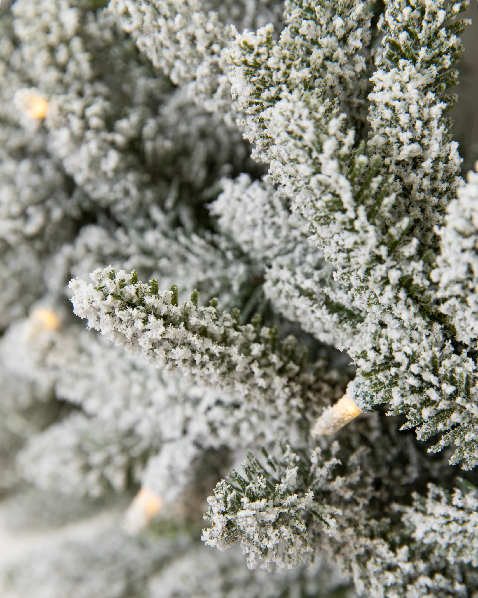 BH Frosted Fraser Fir Garland