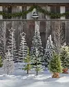 Frosted Forest Pine Tree by Balsam Hill Lifestyle 15