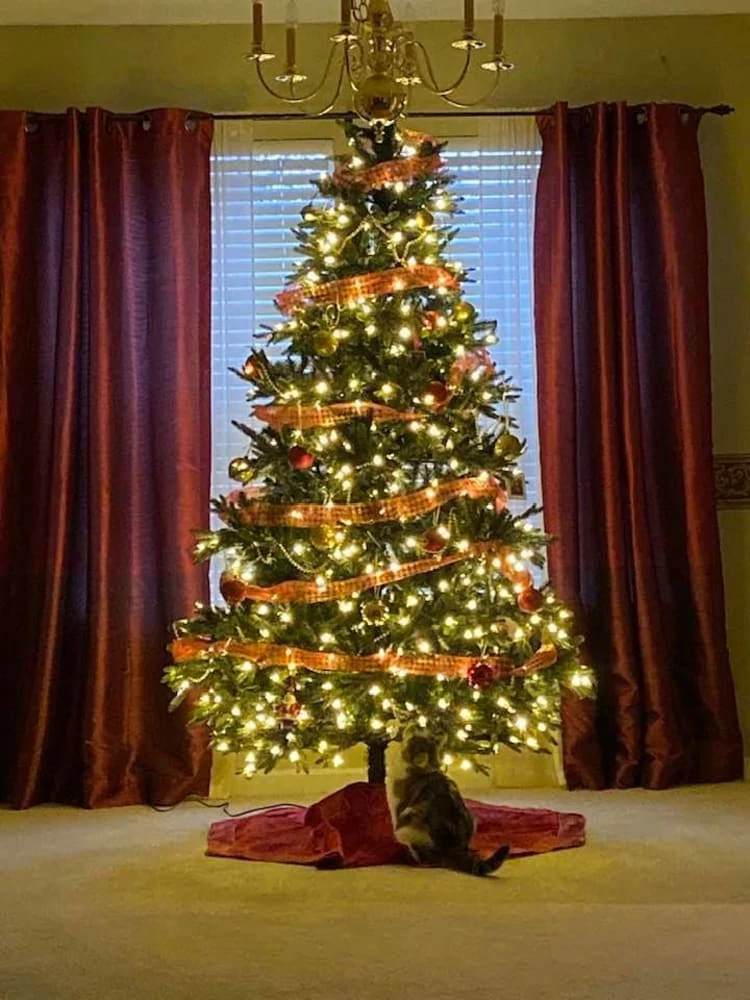 Saratoga Spruce® Artificial Christmas Trees Balsam Hill