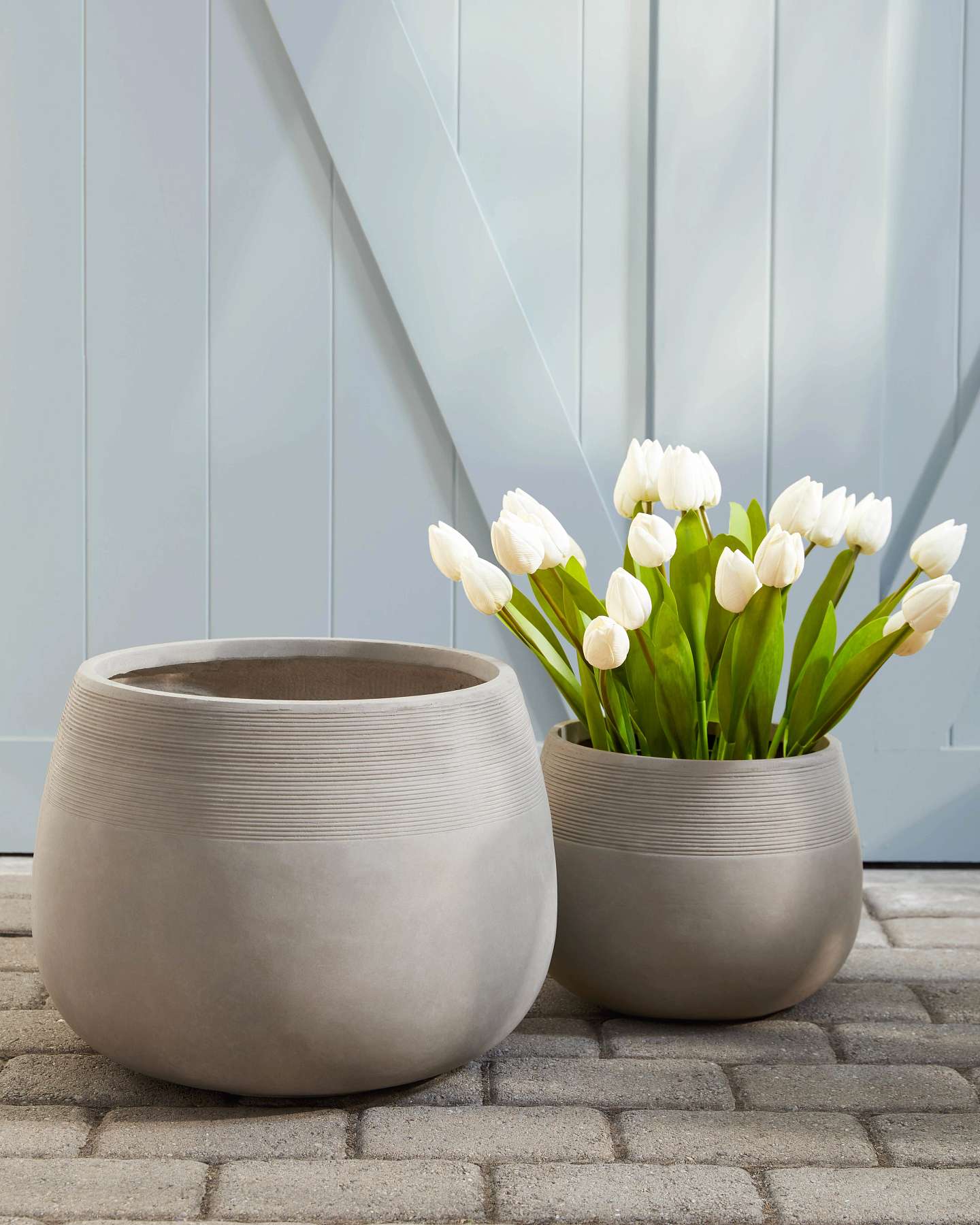 Balsam Hill Beige Outdoor Corinthian Planter Lifestyle with White Tulips