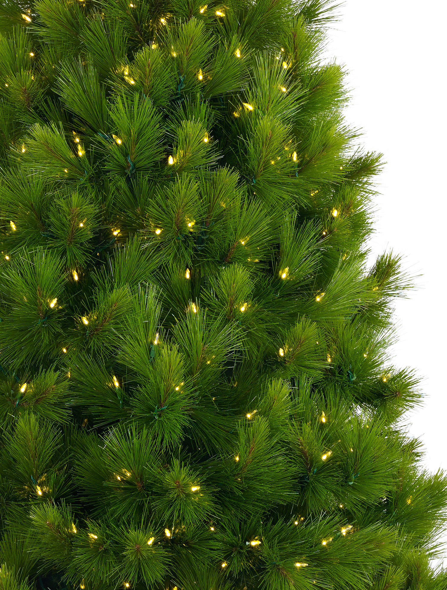 Monterey Pine Balsam Hill