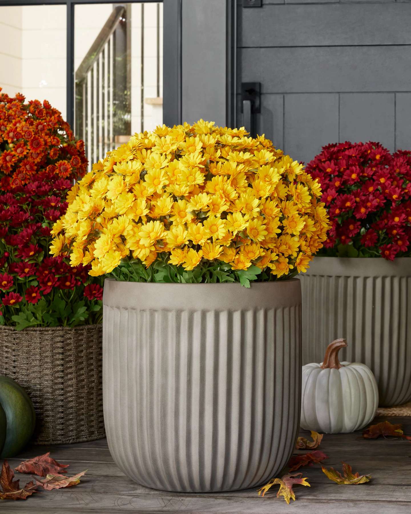 Balsam Hill 28-Inch Gold Outdoor Sunset Mums Pot Filler Lifestyle