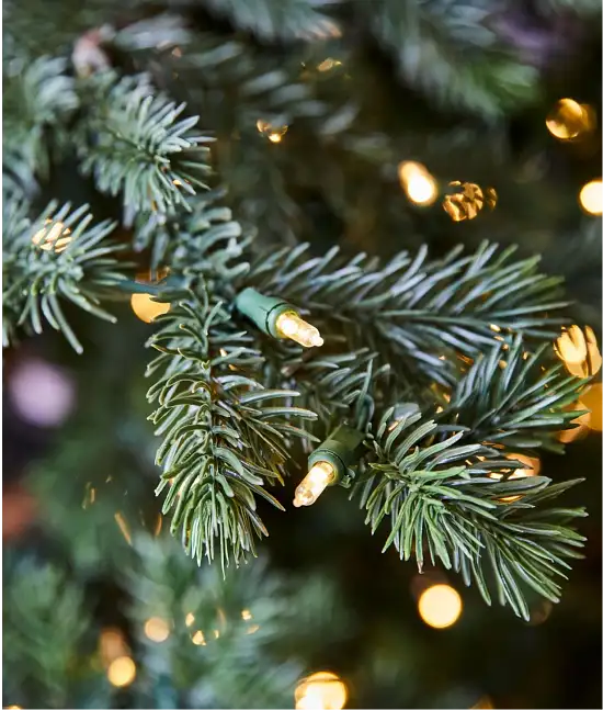 Tabletop Trees