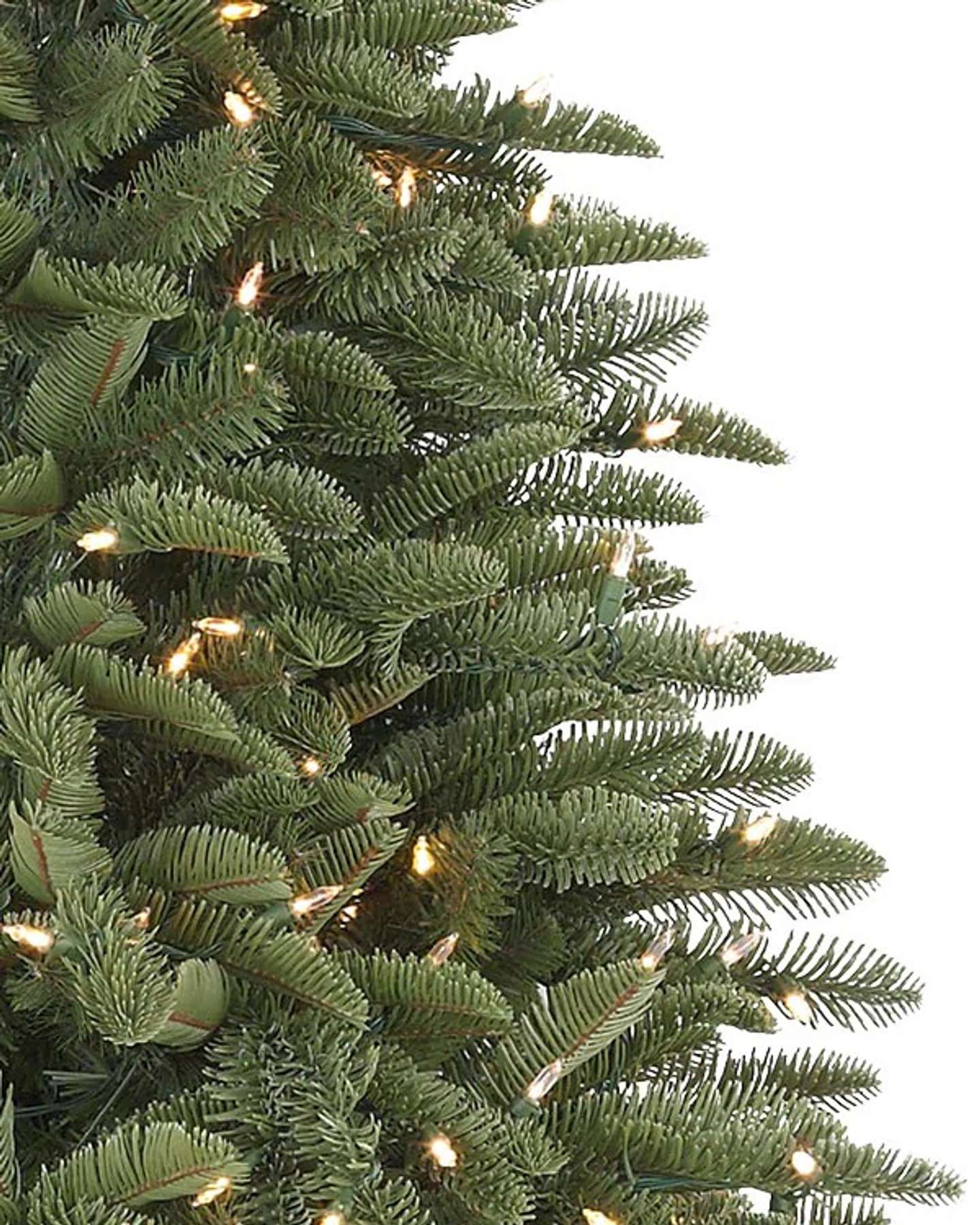 Sapin noble Balsam Hill, lumières LED transparentes | Gros plan