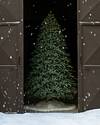 BH Noble Fir Tree by Balsam Hill Lifestyle 70