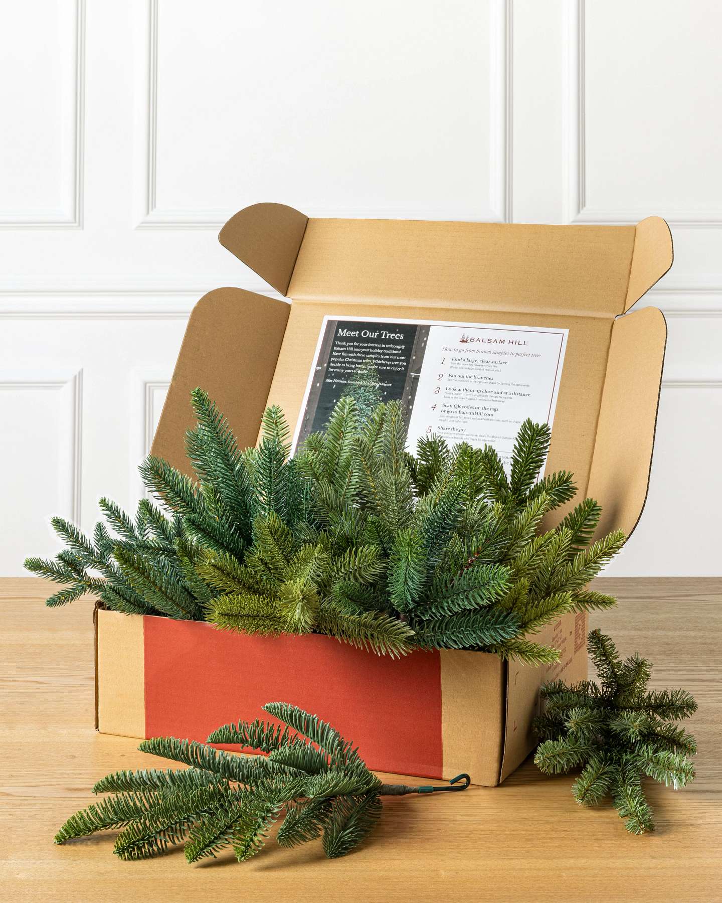 Balsam Hill Branch Sample Kit Set of 10 with Various Tree Branch Styles