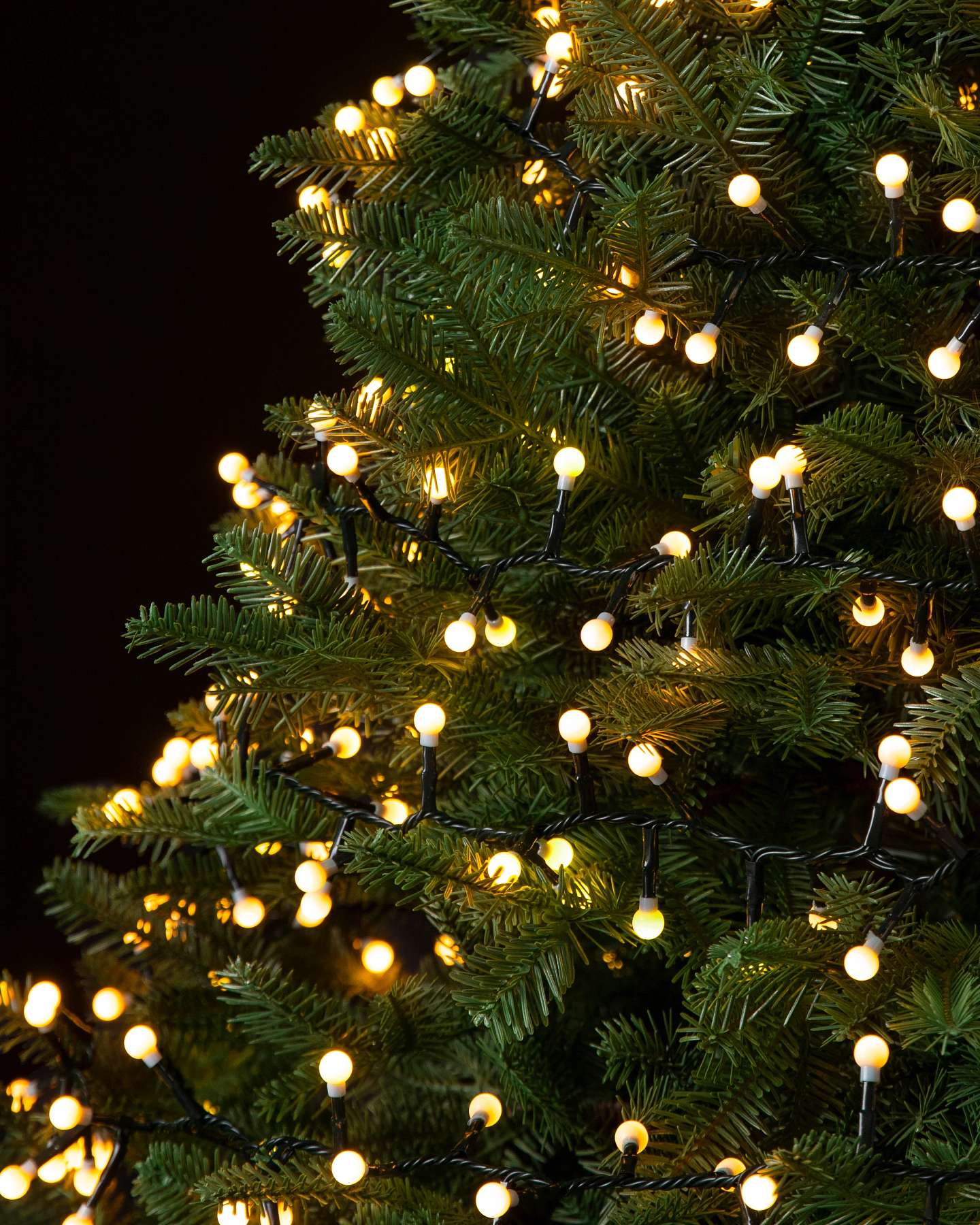 Balsam Hill 36-Foot Warm White Cherry Light String Closeup