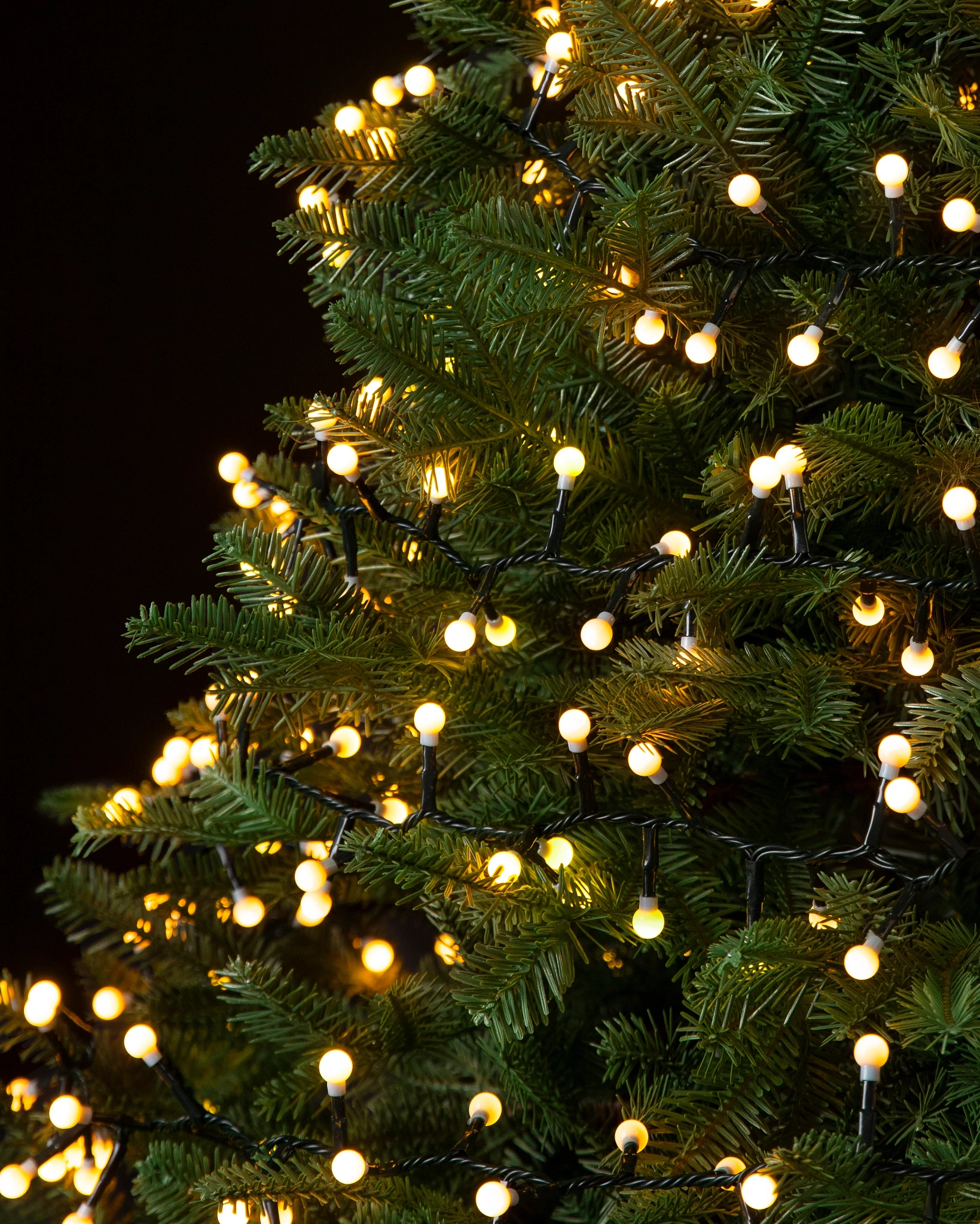 Cherry Christmas Light Strings Balsam Hill