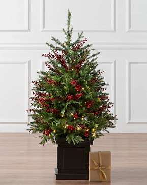 Outdoor Red Berry Evergreen Potted Tree Outdoor Red Berry Evergreen Potted Tree