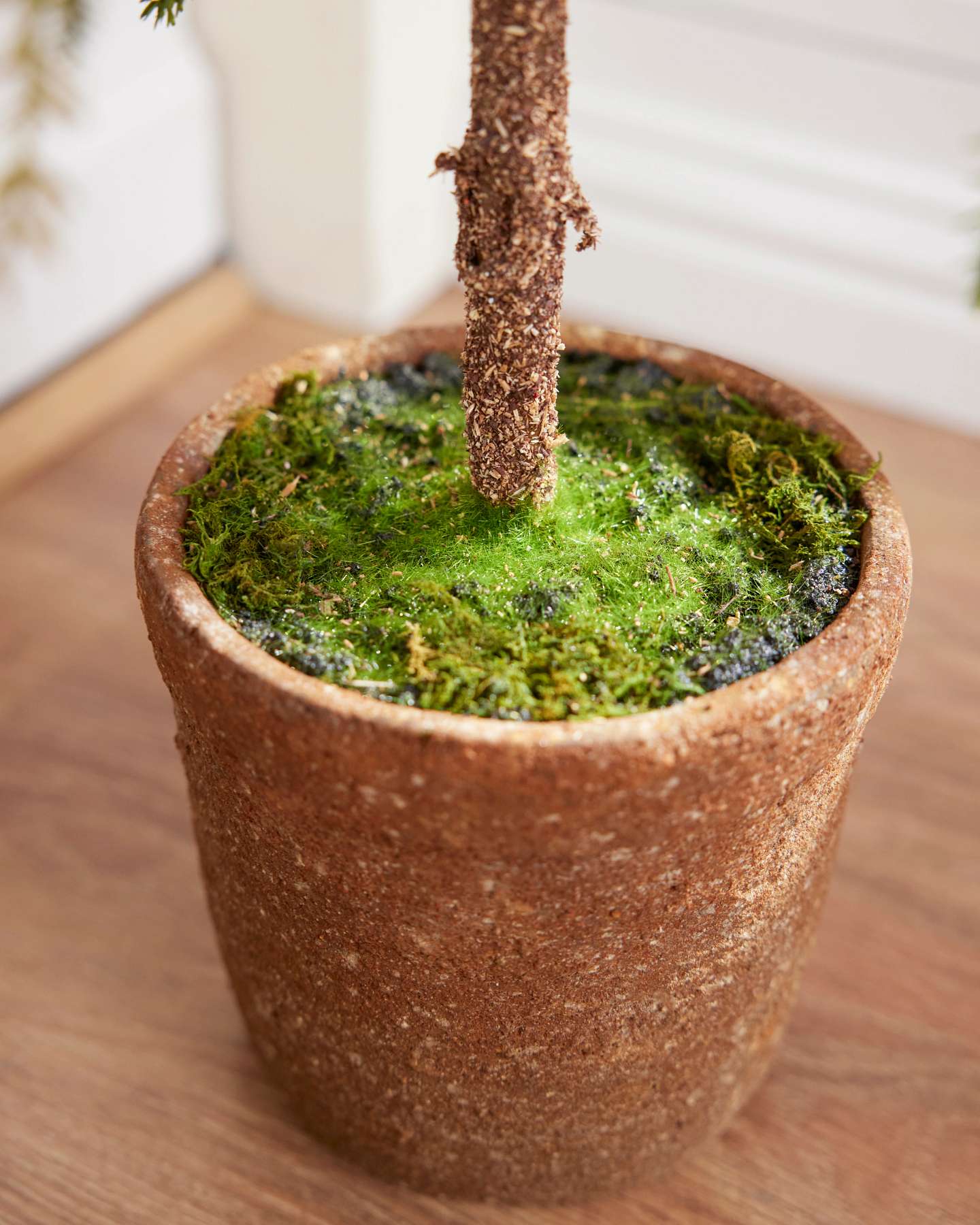Rustic Evergreen Pine Trees