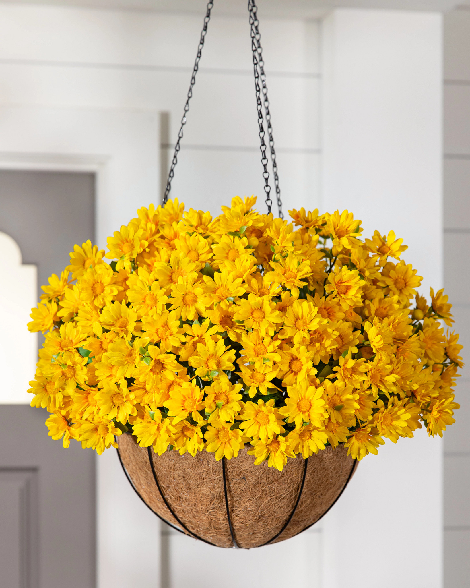 Outdoor Gold Sunset Mums Hanging Basket