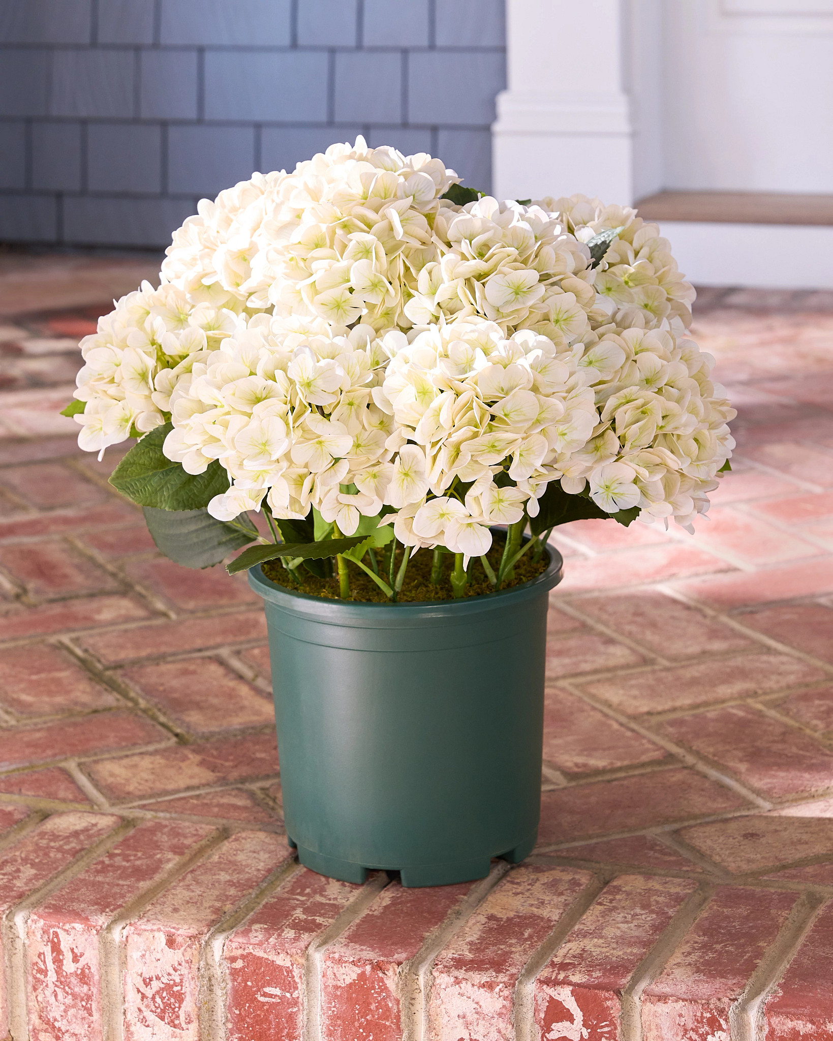 Outdoor Hydrangea Harmony Artificial Spring Foliage | Balsam Hill