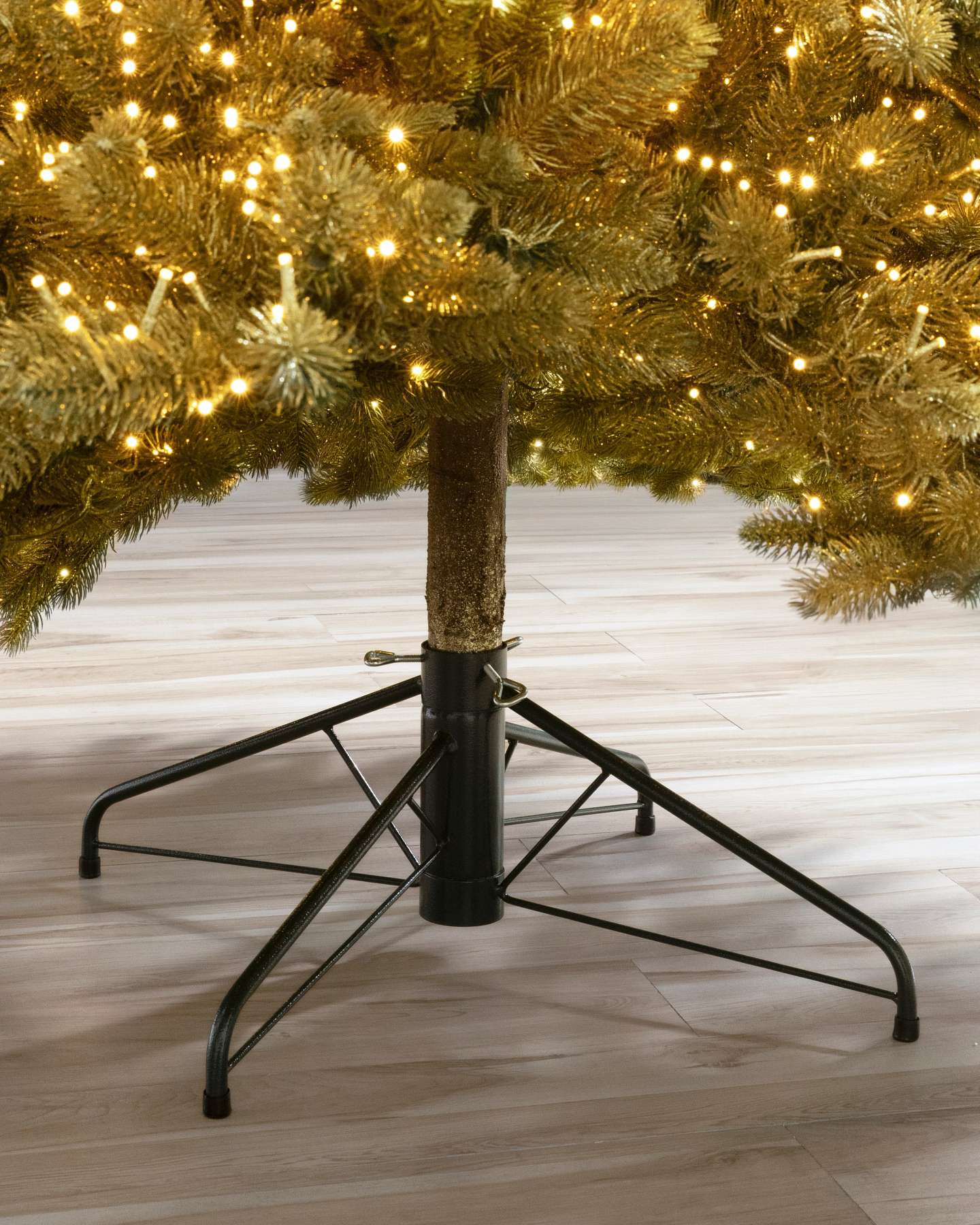 Golden Aspen Estate Fir