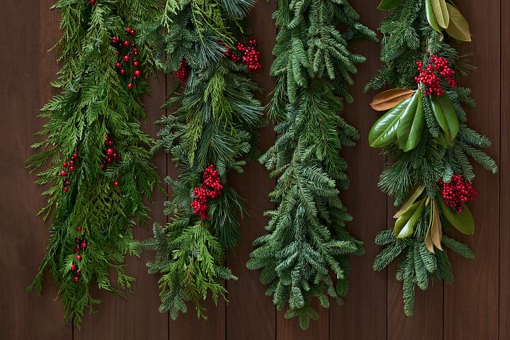 Group of fresh garlands with red berries against a wooden background