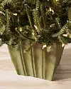 Potted Baby Spruce by Balsam Hill SpFeat 10