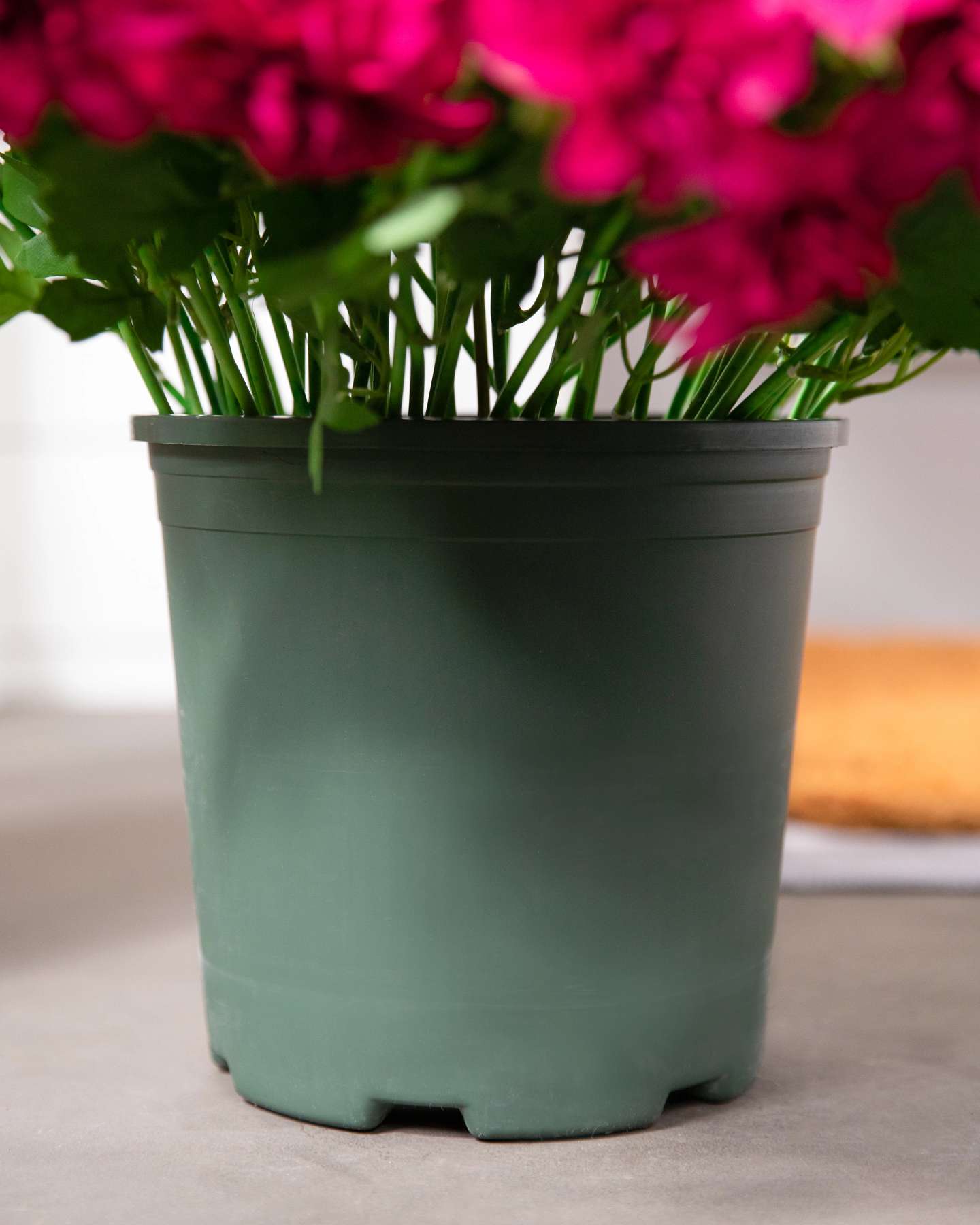 Balsam Hill Outdoor Magenta Dahlia Delight Artificial Spring Foliage in Decorative Pot