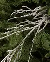 Snowy Branch Picks, Set of 12 by Balsam Hill SSC 10