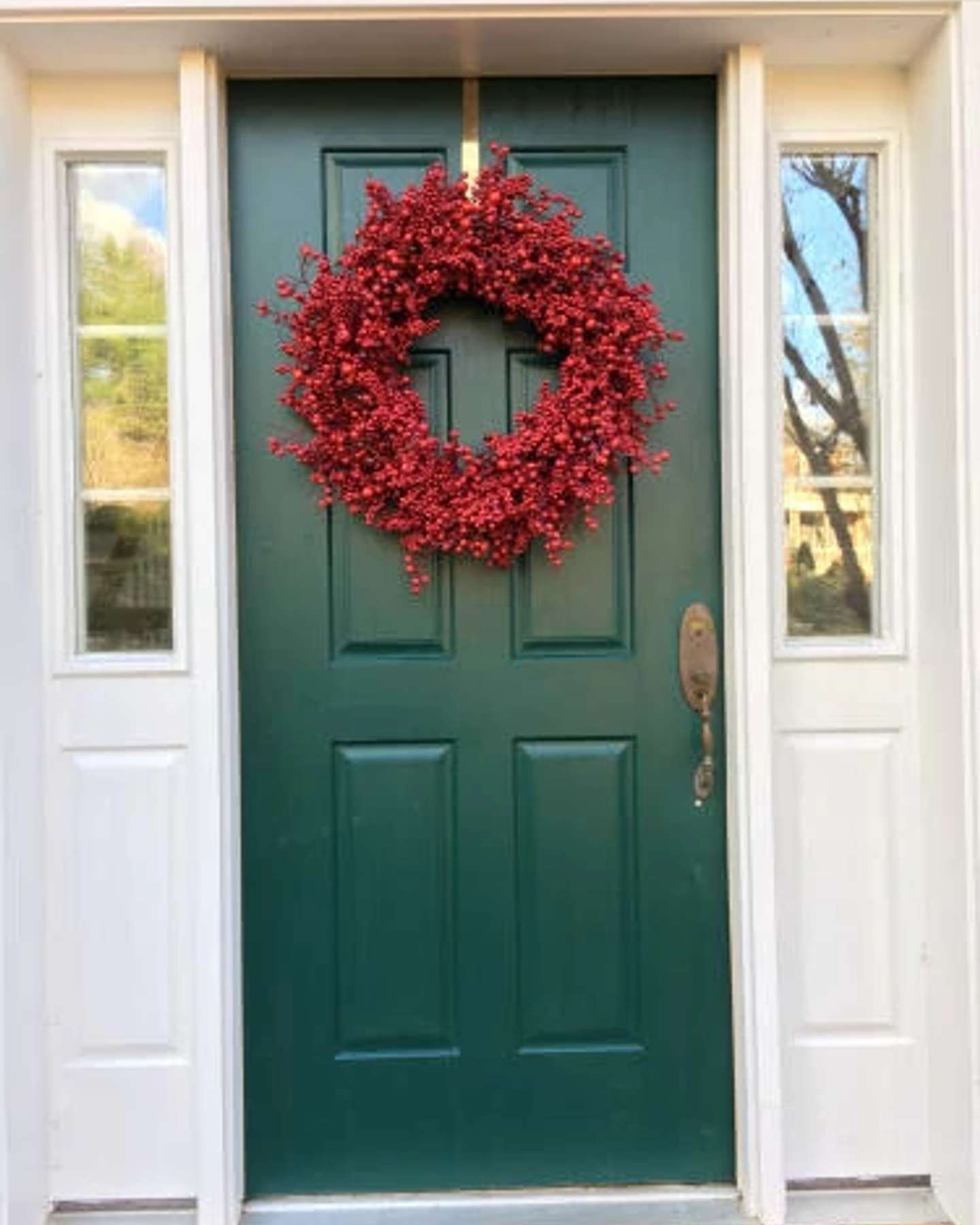 Red Berry Foliage by Red-Berry Hill Customer 20