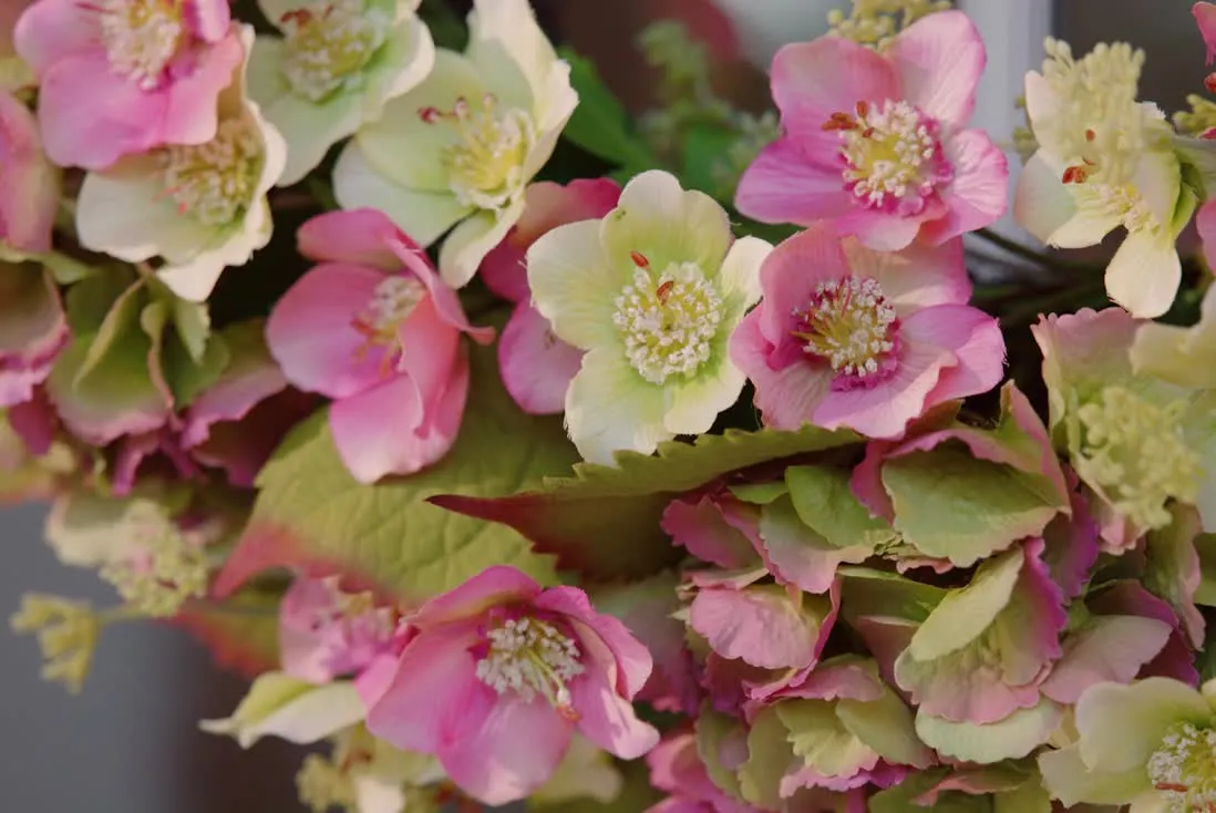 Inspired by: Morning Blossoms