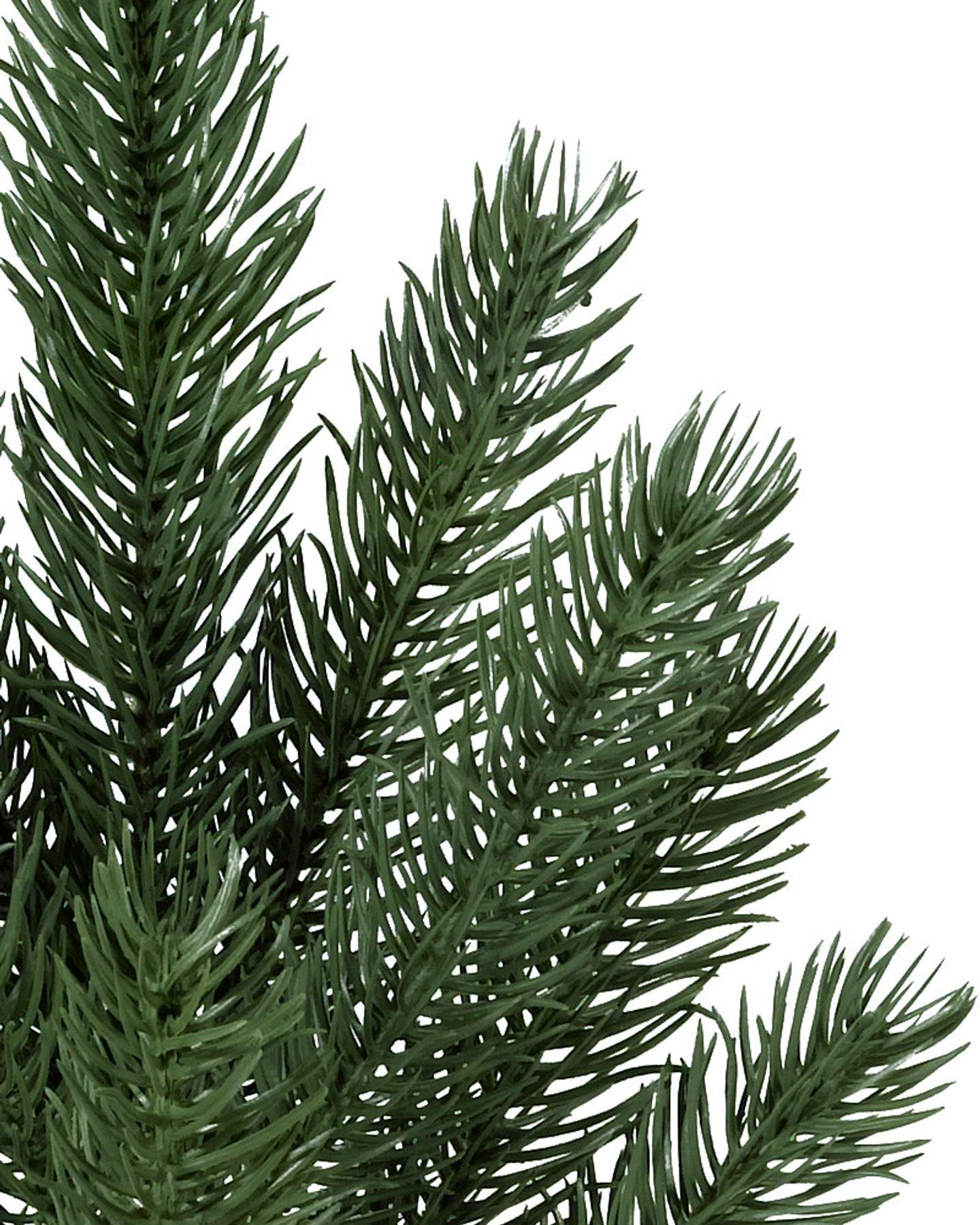 Vermont White Spruce by Balsam Hill Detail