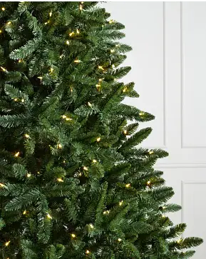 Classic Evergreen Spruce Classic Evergreen Spruce