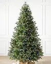 Saratoga Spruce Tree by Balsam Hill Multicolor LED SSC