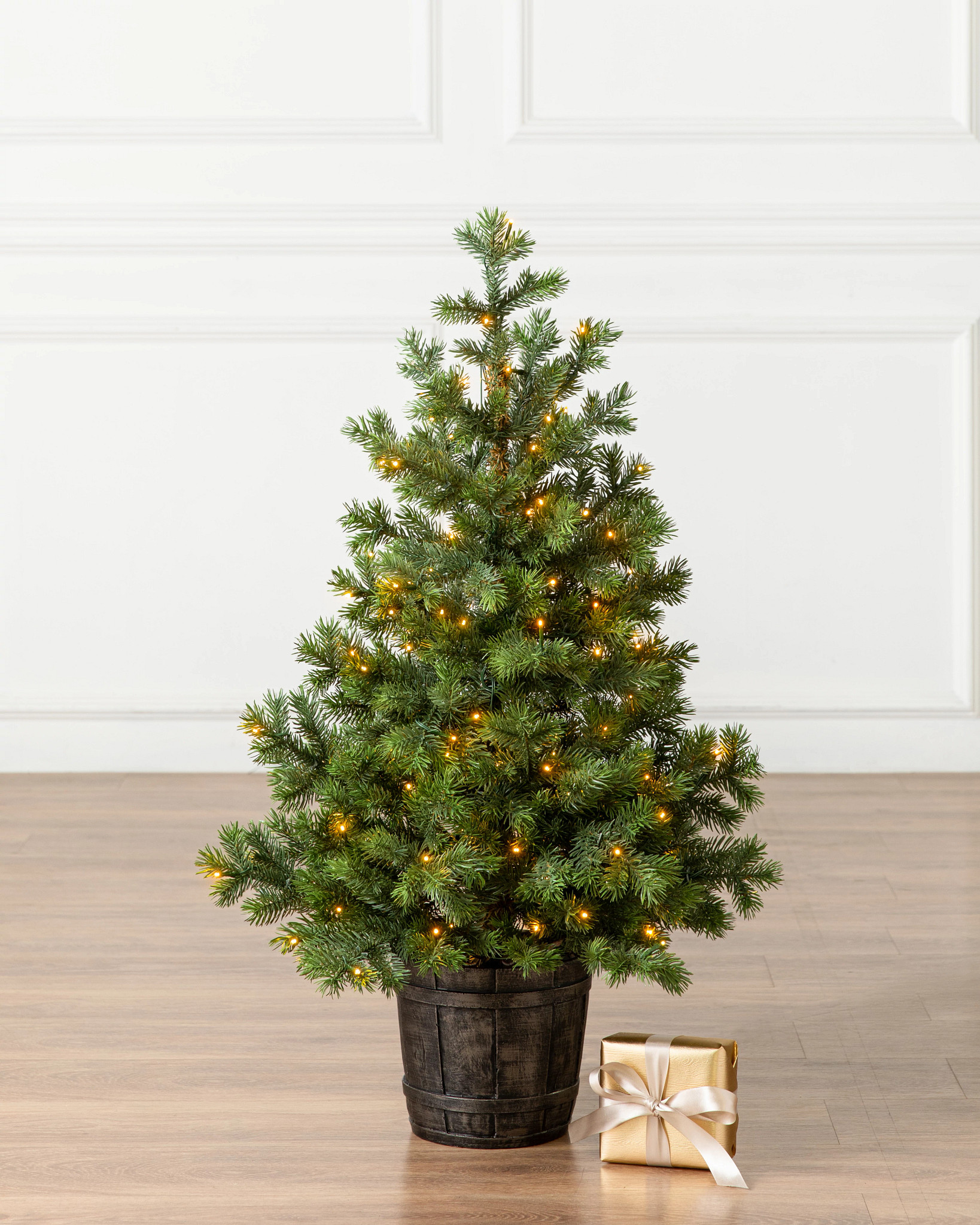 Baby Yukon Spruce® Potted Tree