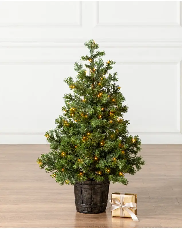 Yukon Spruce Potted Tree by Balsam Hill