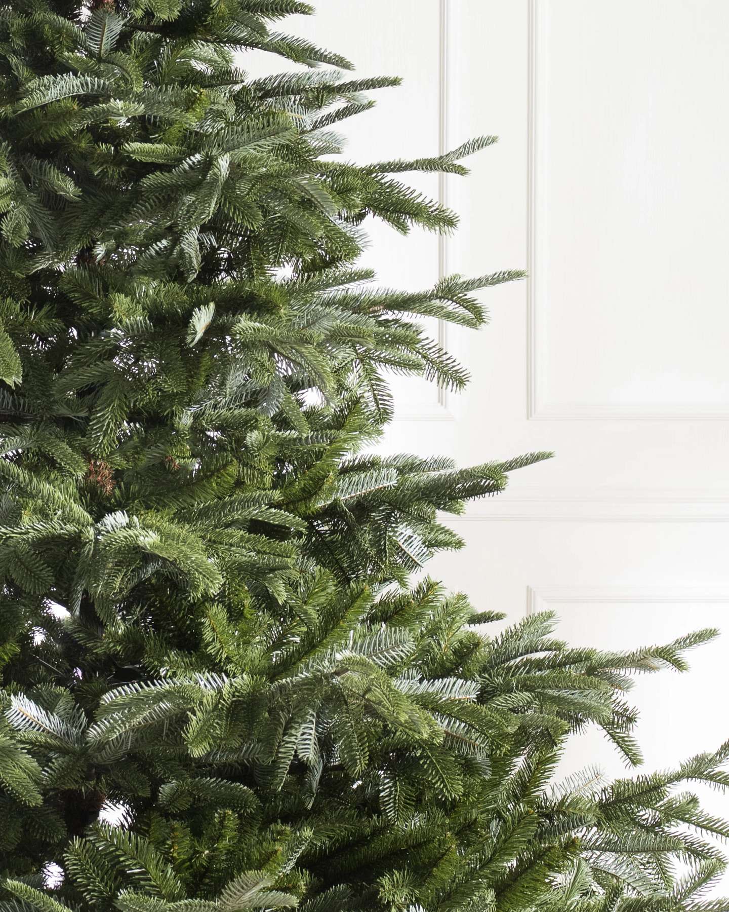 Branch Samples, Set of 16