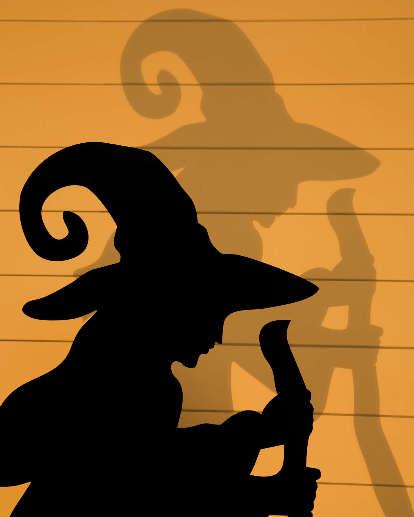 Balsam Hill Outdoor Illuminated Bewitching Silhouette Set of 3 Closeup