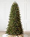 Vermont White Spruce Narrow by Balsam Hill SSC 30