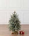 Frosted BH Balsam Fir Tabletop 30inches LEDC by Balsam Hill SSC