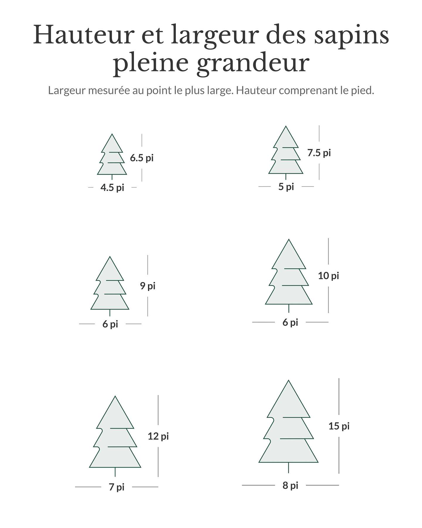 Épinette du Colorado classique de 6,5 pi